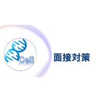 【面接対策・プレゼン対策】30分 特別価格