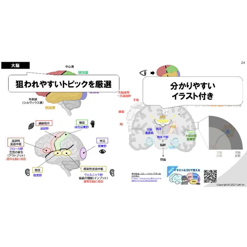 テキスト＋問題集】全単元 23章 | 医学部学士編入塾Cell
