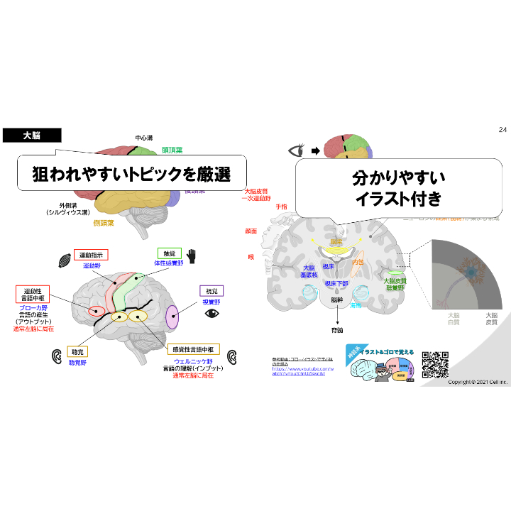 テキスト＋問題集】全単元 23章 | 医学部学士編入塾Cell