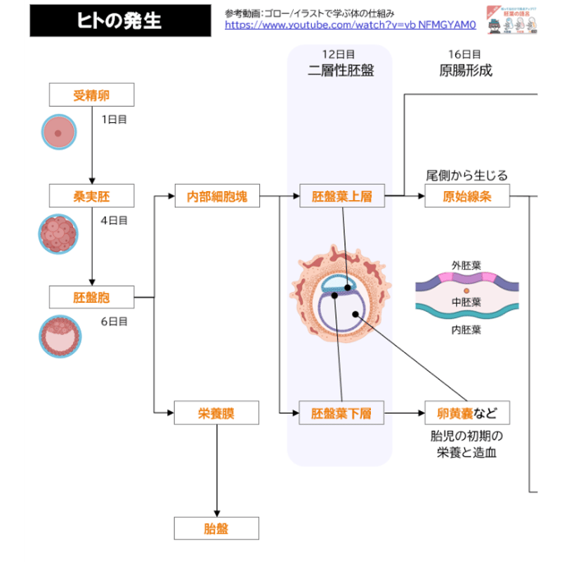 鹿児島大学】 2027年度入試 解答解説 医学部学士編入 | 医学部学士編入