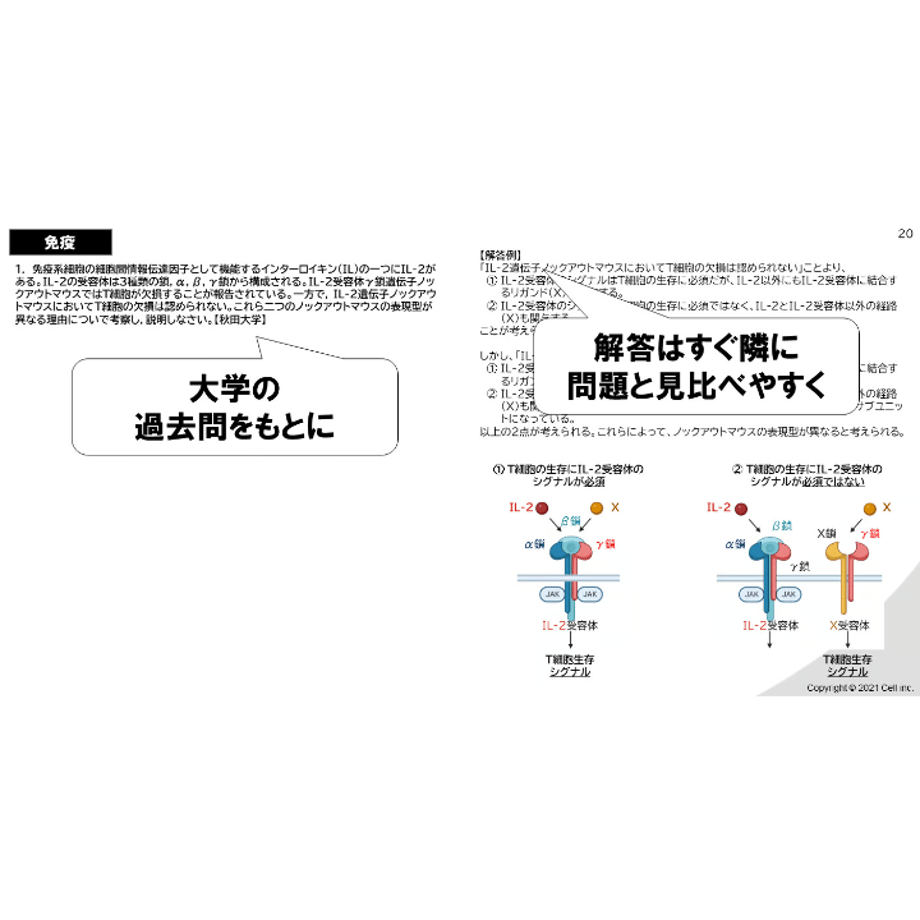 66079d17d3c2c9175126182c