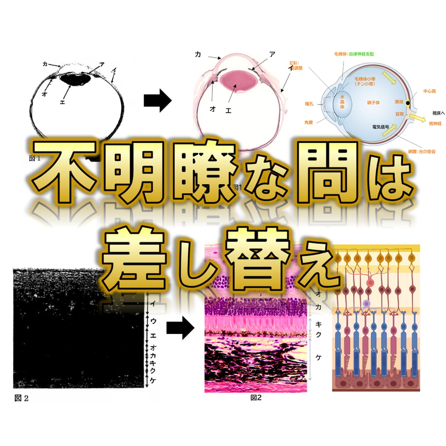 69edf491bfa2871bc2108285