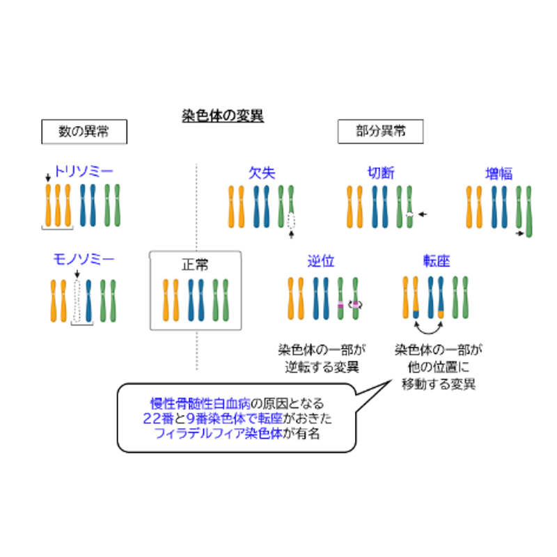 旭川医科大学】 2026年度入試 解答解説 医学部学士編入 | 医学部学士