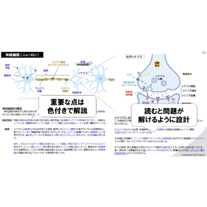 生命科学】テキスト＋問題集＋全動画問題解説 全単元 23章 | 医学部