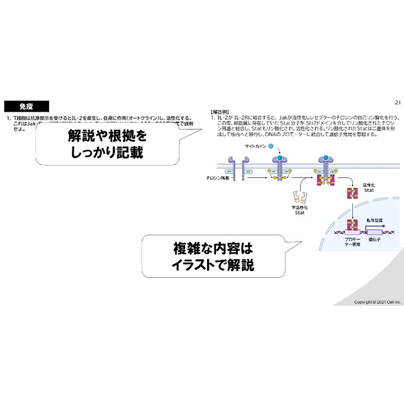 生命科学】テキスト＋問題集＋全動画問題解説 全単元 23章 | 医学部