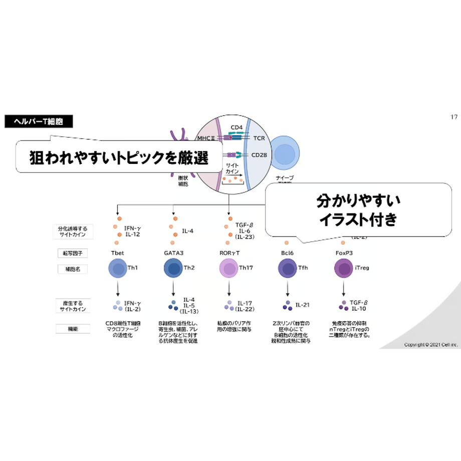 66079d17d3c2c9175126182c