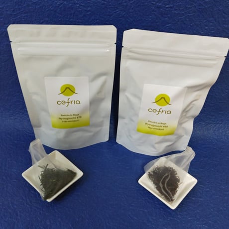 cefria teaclub 2026年3月のお茶