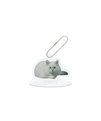 2way acryl keychain（ヴァレン）