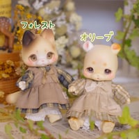 パレットワンピース〔リーフカラー〕【cocoriang/kumukuku】