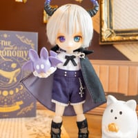 悪魔の王子【オビツ11/ピコニーモP】