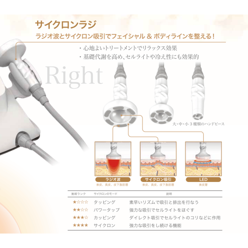 セルライトゼロ -Cellulite ZERO- | C-PRO ONLINE STORE/プ