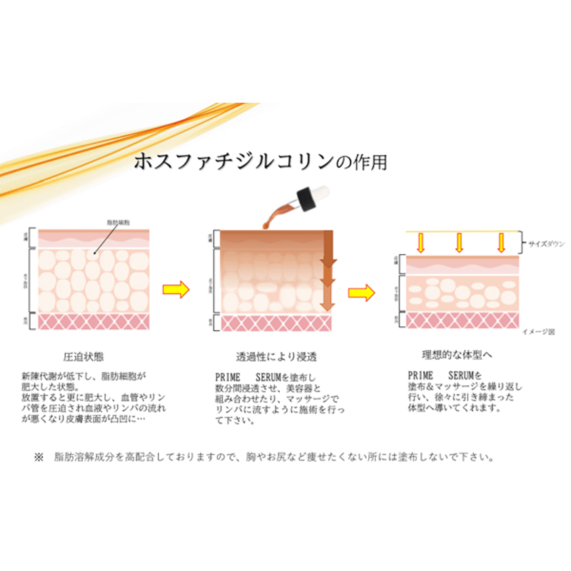 プライムセラム -PRIME SERUM-ホスファチ高濃度40％配合 | プロ用美容エステ機器...