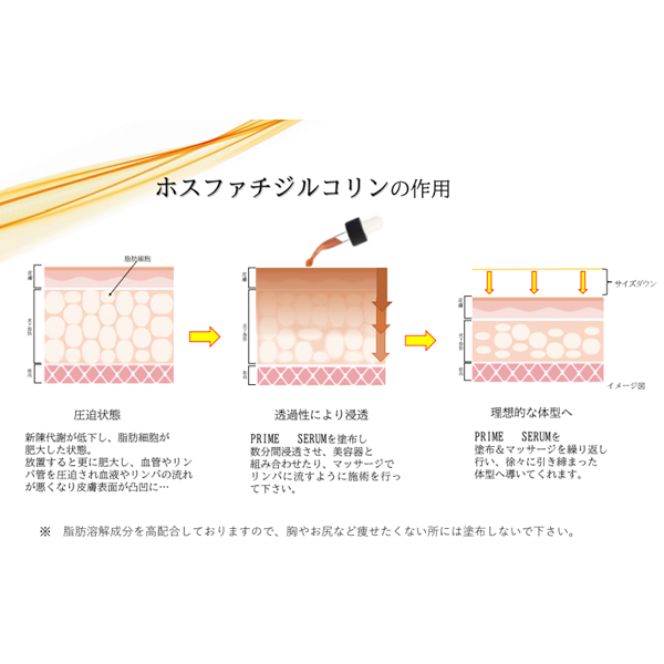 プライムセラム -PRIME SERUM-ホスファチ高濃度40％配合 | プロ用美容
