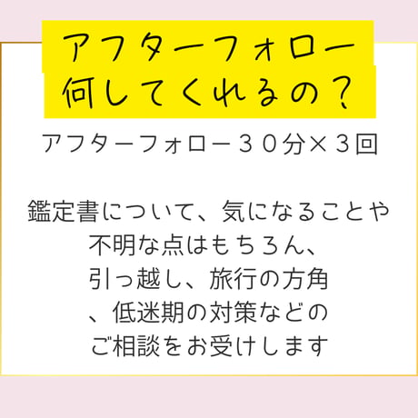 行動プランニング（本格認定コース）4か月サポートコース＋九星氣学鑑定士養成講座（認定資格付き）