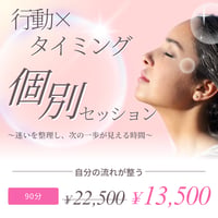 【初回限定】行動とタイミングの個別セッション