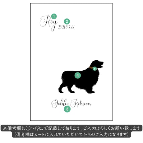 Pet photo paper data【ペットフォトペーパー データ】
