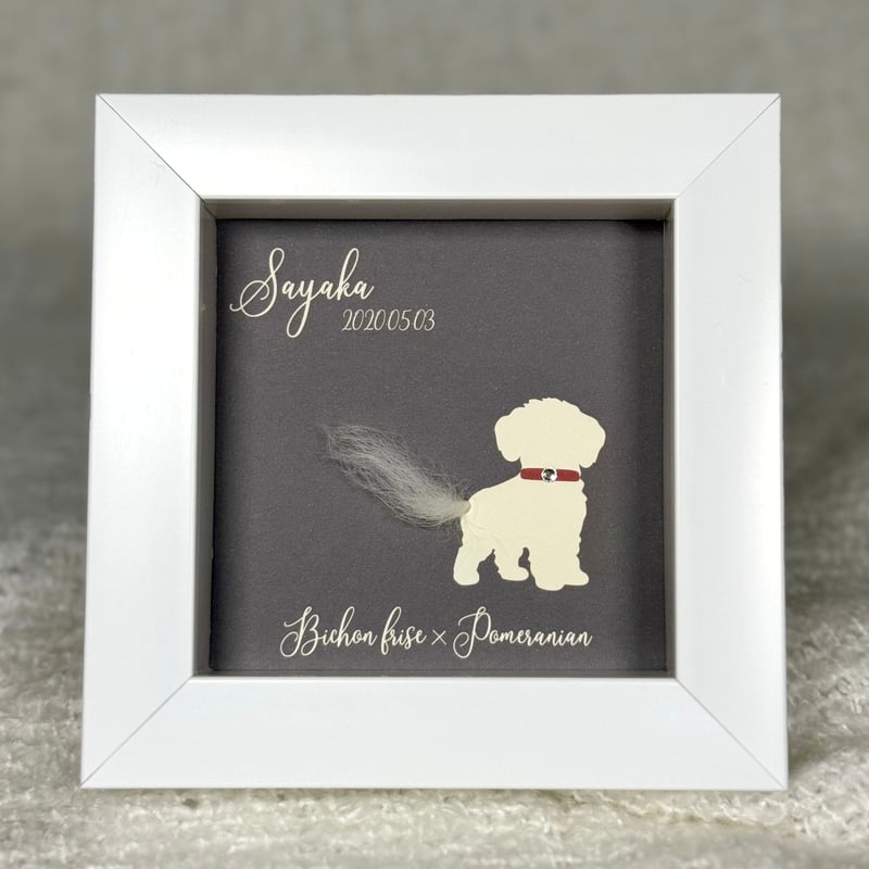 Memory Box white 【 シルエット (ホワイト) スワロフスキー (S Memory Box white 【 シルエット (ホワイト) スワロフスキー (S