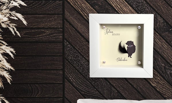 LUANA STORE【ルアナストア公式ショップ】