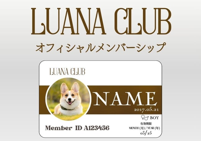 ルアナ様 ご購入予定品 AZONE INTERNATIONAL::Lilia::商品詳細