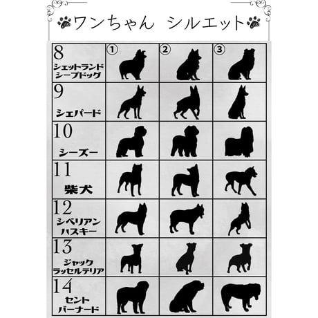Pet photo paper data【ペットフォトペーパー データ】