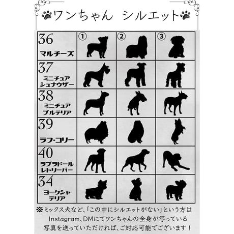 Pet photo paper data【ペットフォトペーパー データ】