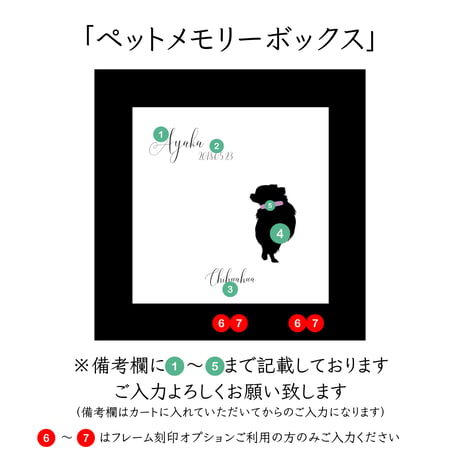 Memory Box white 【 シルエット (ブラック)  スワロフスキー (Sサイズ) 】