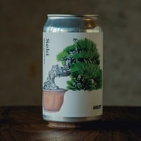 【オーロイ】Seki/West Coast IPA　OHLOY BREWING
