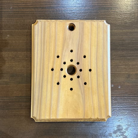 ビカクシダ6種セット(B) ビカクシダ3種セット - メルカリ