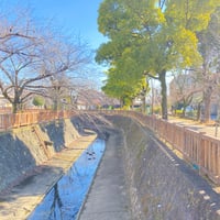 何気ない景色