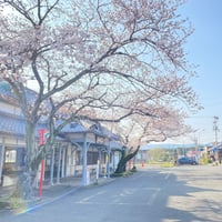 朝日に照らされる桜と駅