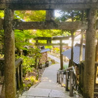 この先は神域