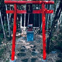 謎の鳥居