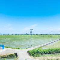 どっちに進む？