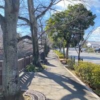 名もなき道