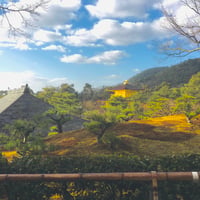 金色（こんじき）の景色