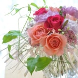 Florism Angelika