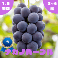 ◯8月下旬から発送予定◯【秀】ナガノパープル　1.5kg/2~4房