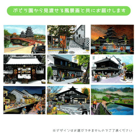 ◯9月中旬から発送予定◯【家庭用】クイーンルージュ　1kg/2~3房