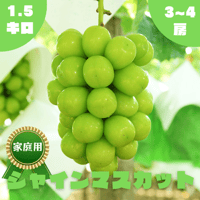 ◯9月上旬から発送予定◯【家庭用】シャインマスカット　1.5kg/3~4房