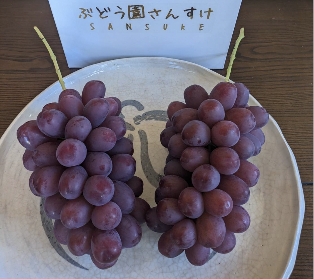やまぶき★クイーンルージュ　４房 JAグリーン長野 クイーンルージュ 大房 4房(約2.4kg)【贈答箱】9