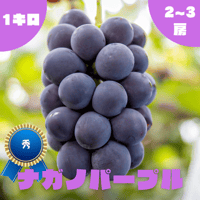 ◯8月下旬から発送予定◯【秀】ナガノパープル　1kg/2~3房