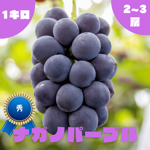 秀】ナガノパープル 1kg/2~3房 | ぶどう園さんすけ