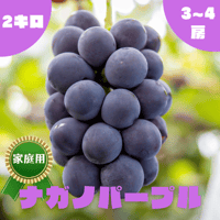 ◯8月下旬から発送予定◯【家庭用】ナガノパープル　2kg/3~4房