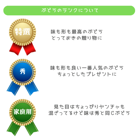 ◯9月中旬から発送予定◯【家庭用】クイーンルージュ　1kg/2~3房