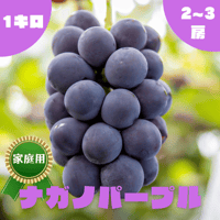◯8月下旬から発送予定◯【家庭用】ナガノパープル　1kg/2~3房