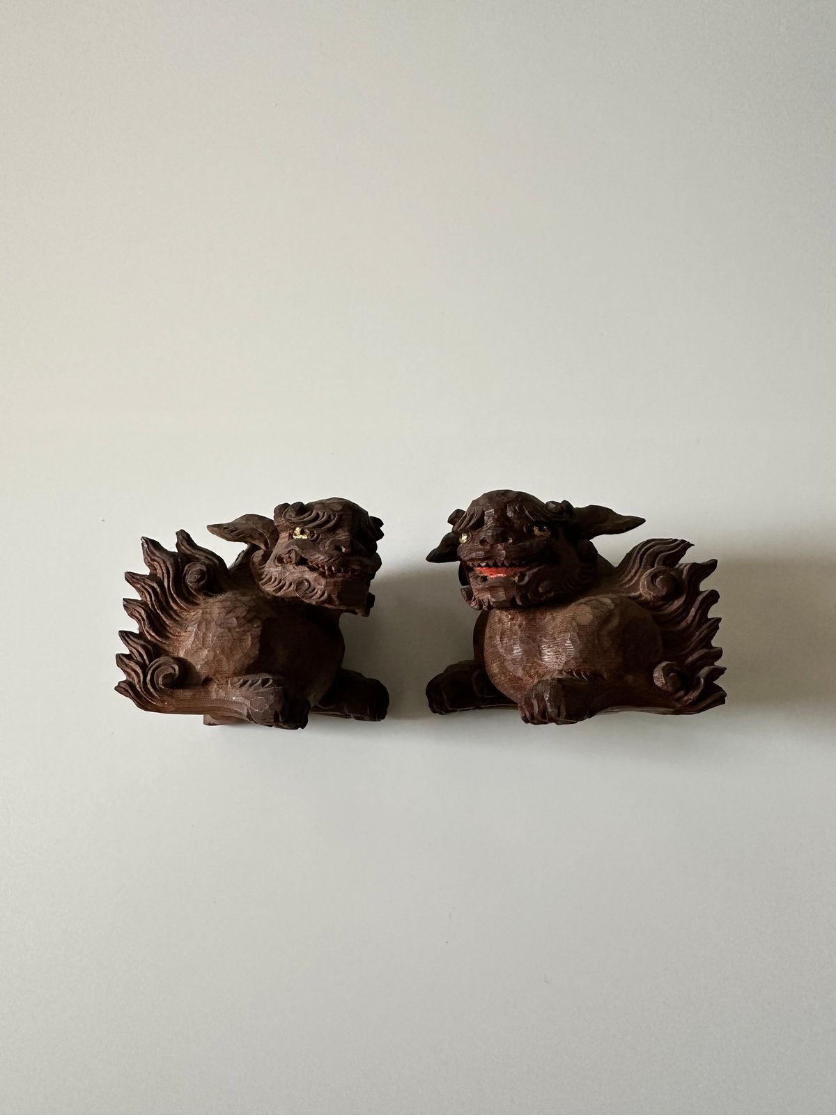 いちごの狛犬 桜牙-Ouka- . . この日は桜牙の定期検診🏥 お注射💉も大人しく