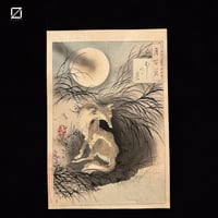 掛軸 熊代 熊斐 江戸中期 | 古物屋次元 オンラインショップ