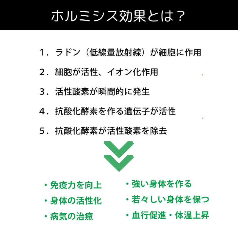 ホルミシス 足裏サポーター 2枚組／天然鉱石プリント繊維 | ヴィーナス