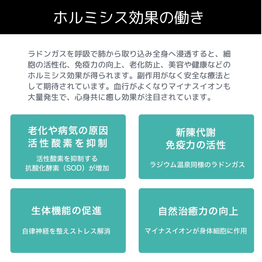 長澤】ピュアルネッサンス ザブティーマット 2025年最新】ホルミシス