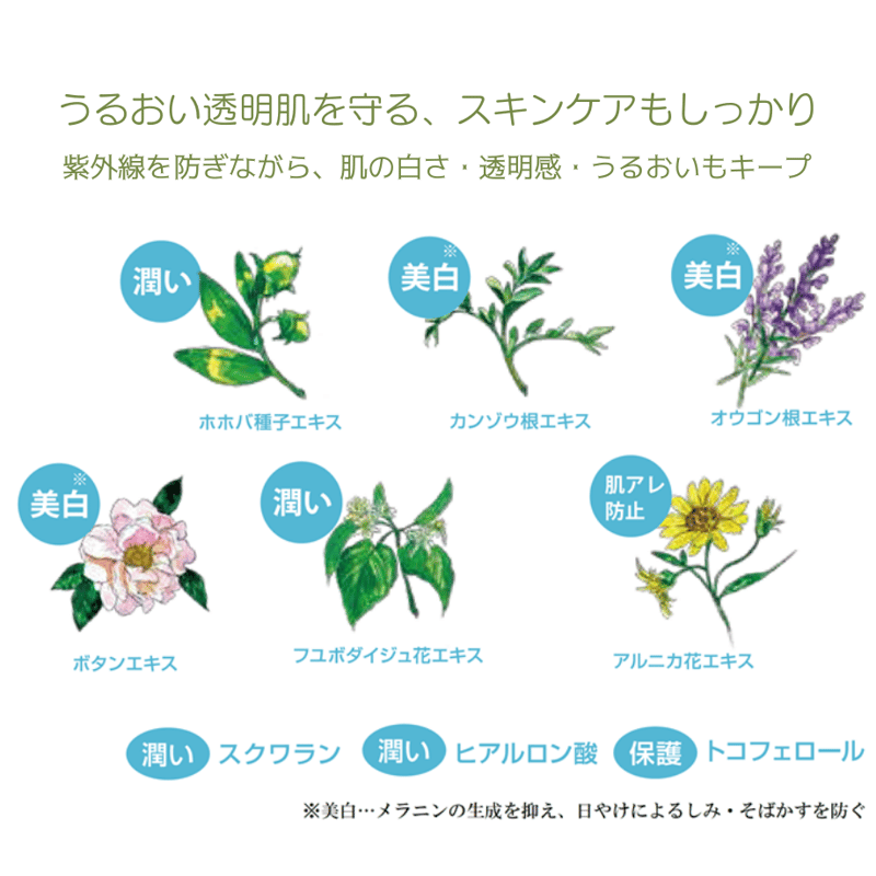 POLCY化粧品　サンブロック　2個セット　ポリシー  新品 未使用 ポリシー サンブロック／SPF30・PA++++（55g） | ヴィーナス